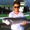 Avatar do Utilizador