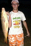 Avatar do Utilizador