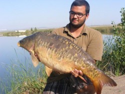 Carpa espelhada 13,800kg
