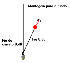 tainha1.gif