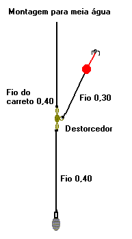 tainha2.gif