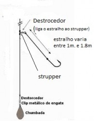 ~montagens feito.jpg