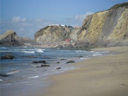 SAM_0064_amoeiras.JPG