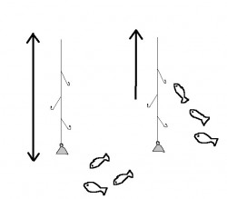 jigging.jpg
