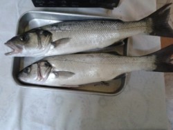 2011-09-25 09.59.23.jpg