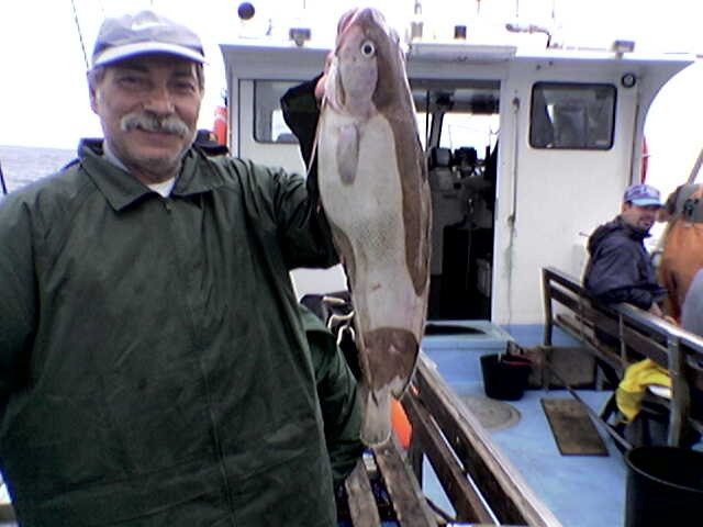 Abrotea apanhada pelo Sr.Maduro