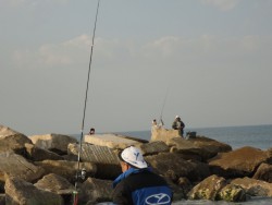 DSC01044.JPG