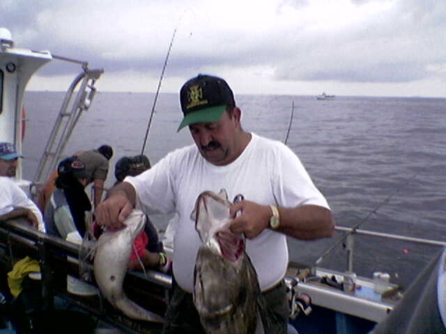 Abrotea e Peixe Galo apanhado pelo Sr.Henrique