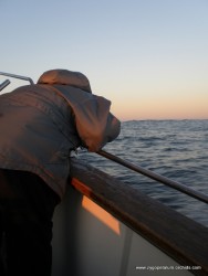 O amilcar bem procurou por eles debaixo do barco neste dia...