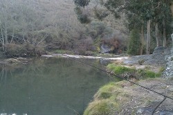 Rio ferreira