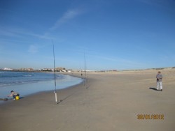 IMG_3321.JPG