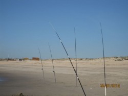 IMG_3329.JPG