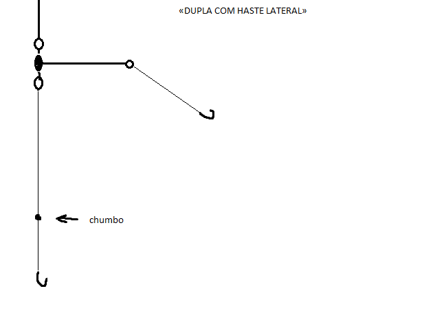 COM HASTE LATERAL.png