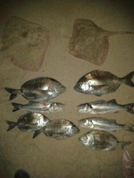 pesca final<br />pesca final