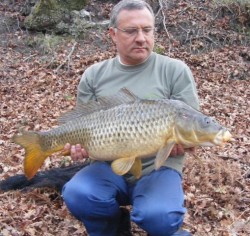 7,800 kg