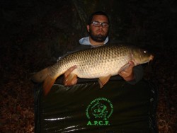 8,300 kg