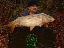 10,560 kg