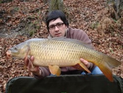 4,7 kg