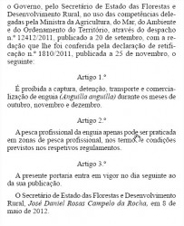 Image2.jpg