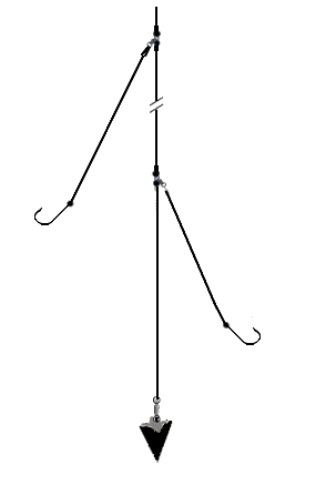 montagem-fundo-2[1].gif