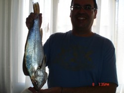 DSC00940.JPG