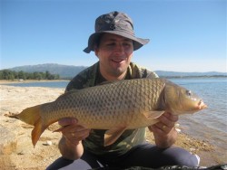 Carpa 1º lugar