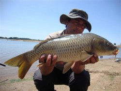 Carpa 2º lugar