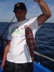 Pargo