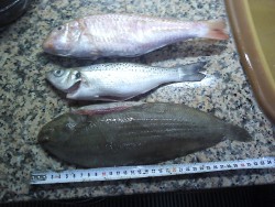 2012-11-23 19.25.46.jpg