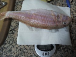 2012-11-23 19.57.55.jpg