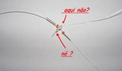 nó.jpg