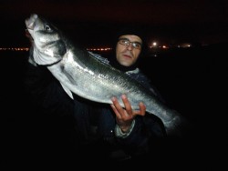 20130126024223.jpg