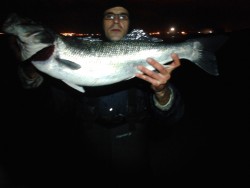 20130126024303.jpg