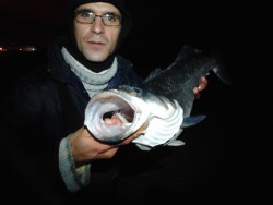 20130126024407f.jpg