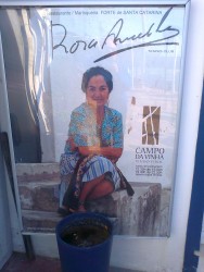 Dona Rosa Amélia