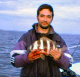 Image1.jpg