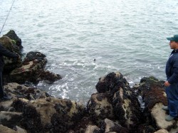 DSCF1835.JPG