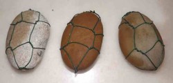DSCF8328.JPG