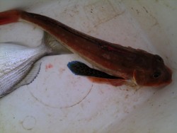 IMG_20130302_163555.jpg