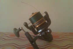carreto 017.jpg