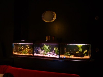 a minha sala de estar...
