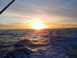 2013-04-20 07.00.12.jpg