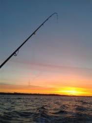 2013-04-20 06.41.52.jpg