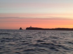 2013-04-20 06.41.41.jpg