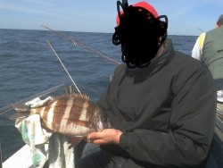 2013-04-20 11.38.06.jpg
