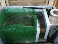 aquario1.jpg