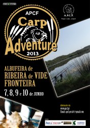 cartaz 2013 FINAL FINAL-01.jpg
