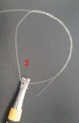 Photo3.jpg