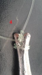 Photo4.jpg
