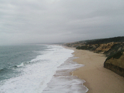 meco.gif (85.32 KiB) Visto 263 vezes meco.gif